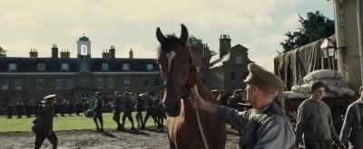 Whoa, whoa, whoa! Easy. Easy. - War Horse