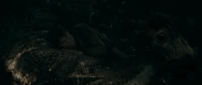 Whoa, whoa, whoa. - Fantastic Beasts: The Secrets of Dumbledore