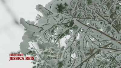 ♪ Whoa... Whoa... Whoa...  - A Bluegrass Christmas