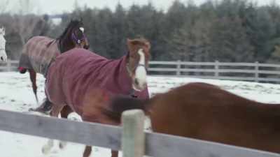 ♪ Whoa... Whoa... Whoa...  - A Bluegrass Christmas