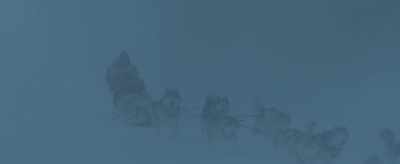 Whoa, whoa, whoa, whoa.
Easy, easy. - The Great Alaskan Race