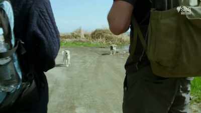 Whoa, whoa, whoa, whoa! - From Russia to Iran: Crossing Wild Frontier