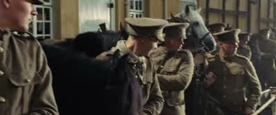 Whoa whoa whoa whoa, Stay steady. - War Horse