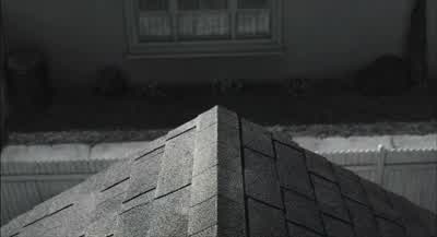 Whoa! Whoa, whoa, whoa, whoa! It's working! It's working! - Frankenweenie