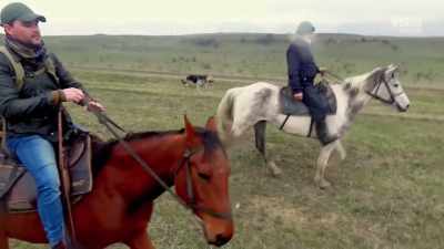 Whoa! Whoa, whoa, whoa, whoa. - From Russia to Iran: Crossing Wild Frontier