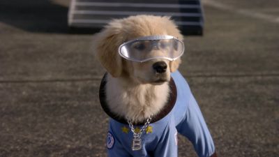 Whoa you're a ferret - Space Buddies