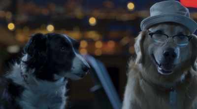 Whoever's behind this plot
is somewhere in our zone. - Cats & Dogs 3: Paws Unite