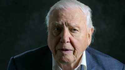 Whole habitats would soon
start to disappear. - David Attenborough: A Life on Our Planet