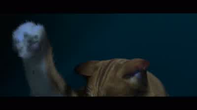 Whoo-hoo! - Puss in Boots