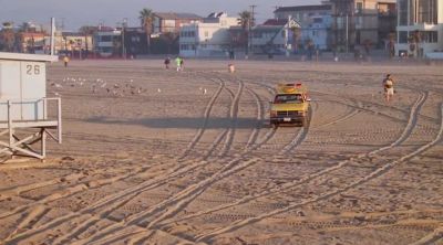 -WHOO!
-[LAUGHS] - Baywatch