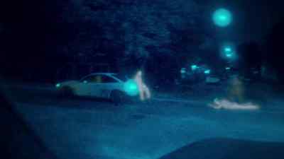 Whoo! - The Purge