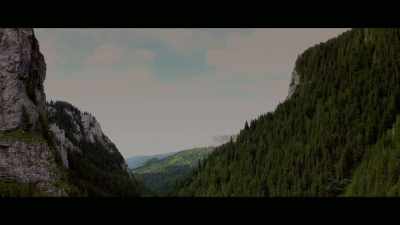 [ whooping in distance ] - Washington