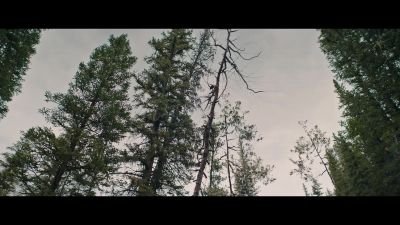 -[whooshing]
-[branches creaking] - Prey