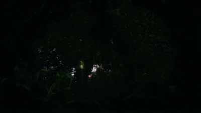 (whooshing fades out) - Trees and Other Entanglements