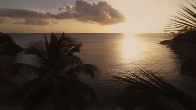 # Who's that girl? - Death in Paradise