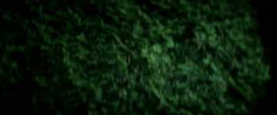 Who's out there? - Volition