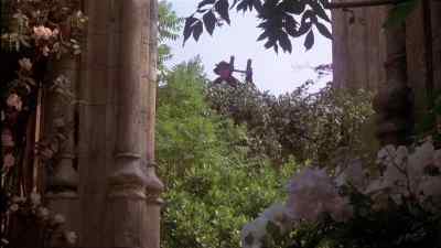 WHO'S THAT MAN? - The Secret Garden