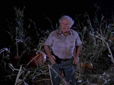 Who's that?! - Dark Night of the Scarecrow