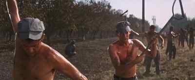 Who's that? - Cool Hand Luke
