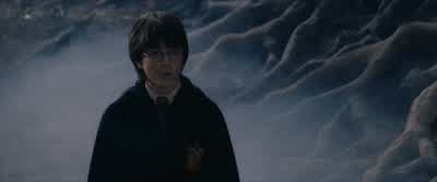 Who's that? - Harry Potter and the Philosopher's Stone