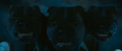 Who's the one wizard Voldemort always feared? - Harry Potter and the Philosopher's Stone