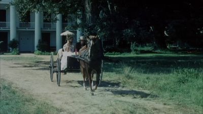 Who's the wench - Mandingo