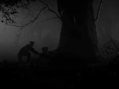 Who's there? - Night Must Fall