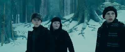 Who's there?! - Harry Potter and the Prisoner of Azkaban