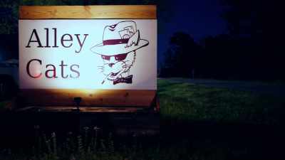 Whose journey to escape her problems - Love in Fairhope