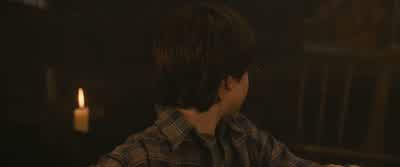 ...whose tail feather resides in your wand, gave another feather. - Harry Potter and the Philosopher's Stone