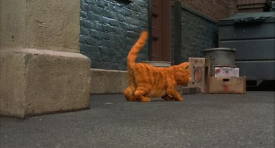 Why am I being surrounded here - Garfield