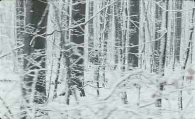 Why are you acting so weird?
Who are you? - Winter Brothers