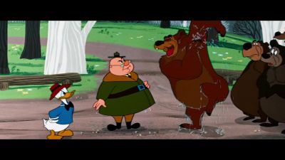 Why are you always wet - Beezy Bear