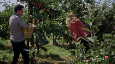 - Why are you being so picky?
- I only want the best. - Love Under the Olive Tree