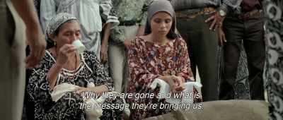 Why they are gone and what is
the message they're bringing us. - Birds of Passage
