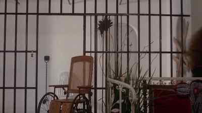 Why are you looking at me like that? - The Mafu Cage