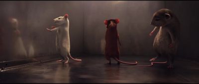 Why are we mouses - The Witches