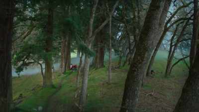 Why are we taking
the spookiest possible route to get there? - Scaredy Cats