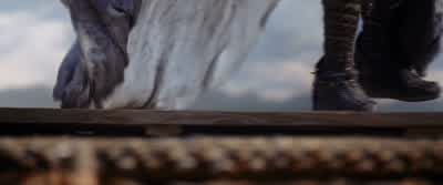 Why are you here? - Mulan