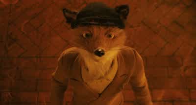 Why are you wearing that badge? - Fantastic Mr  Fox