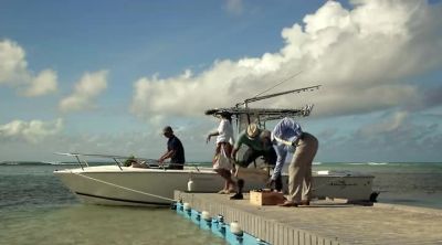 Why aren't your brother and sister helping you? - Death in Paradise