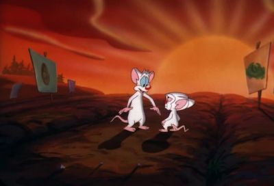WHY BRAIN - Pinky and the Brain