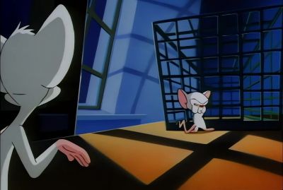 Why Brain What are we going to do tomorrow night - Animaniacs