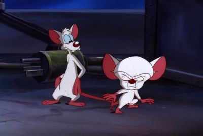 WHY BRAIN WHAT ARE WE GOING TO DO TOMORROW NIGHT - Pinky and the Brain