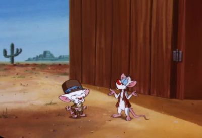 WHY BRAIN - Pinky and the Brain