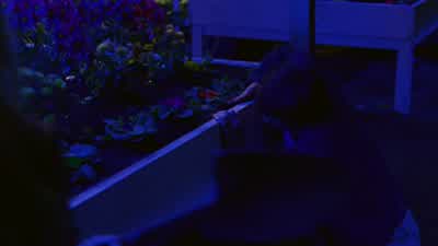 - Why can't you just leave me alone? - Smallville