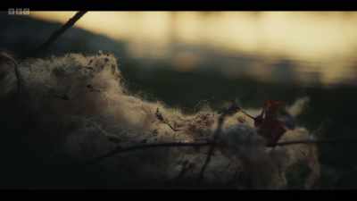 -Why did you ask him that?
-(crow cawing) - The Jetty