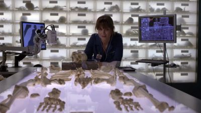 Why did you buy heroin? - Bones