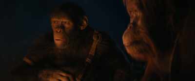 Why did Caesar care
so much for Echoes? - Kingdom of the Planet of the Apes
