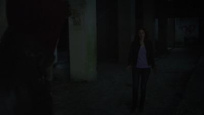 Why did you come down here? - Under the Dome